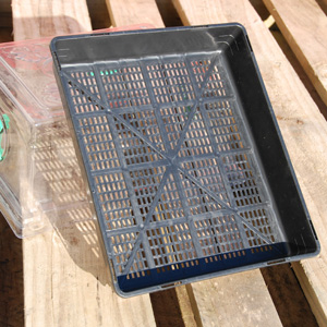 Lattice Seedling Tray [350mm x 295mm x 65mm]